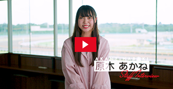 インタビュー動画