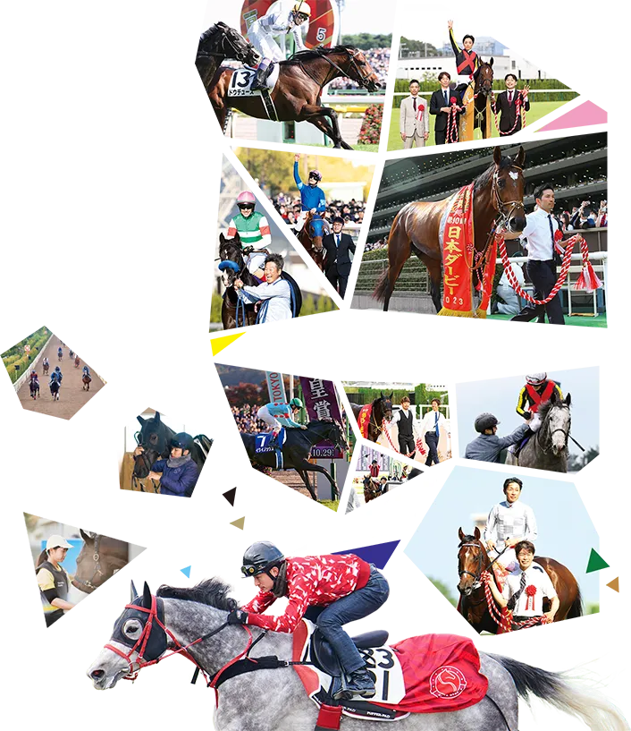 競走馬を愛し育てる仕事。次の名馬を育てるのは君だ！