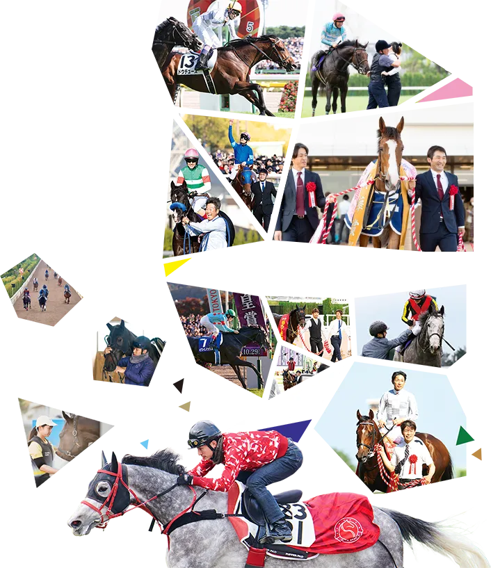 競走馬を愛し育てる仕事。次の名馬を育てるのは君だ！