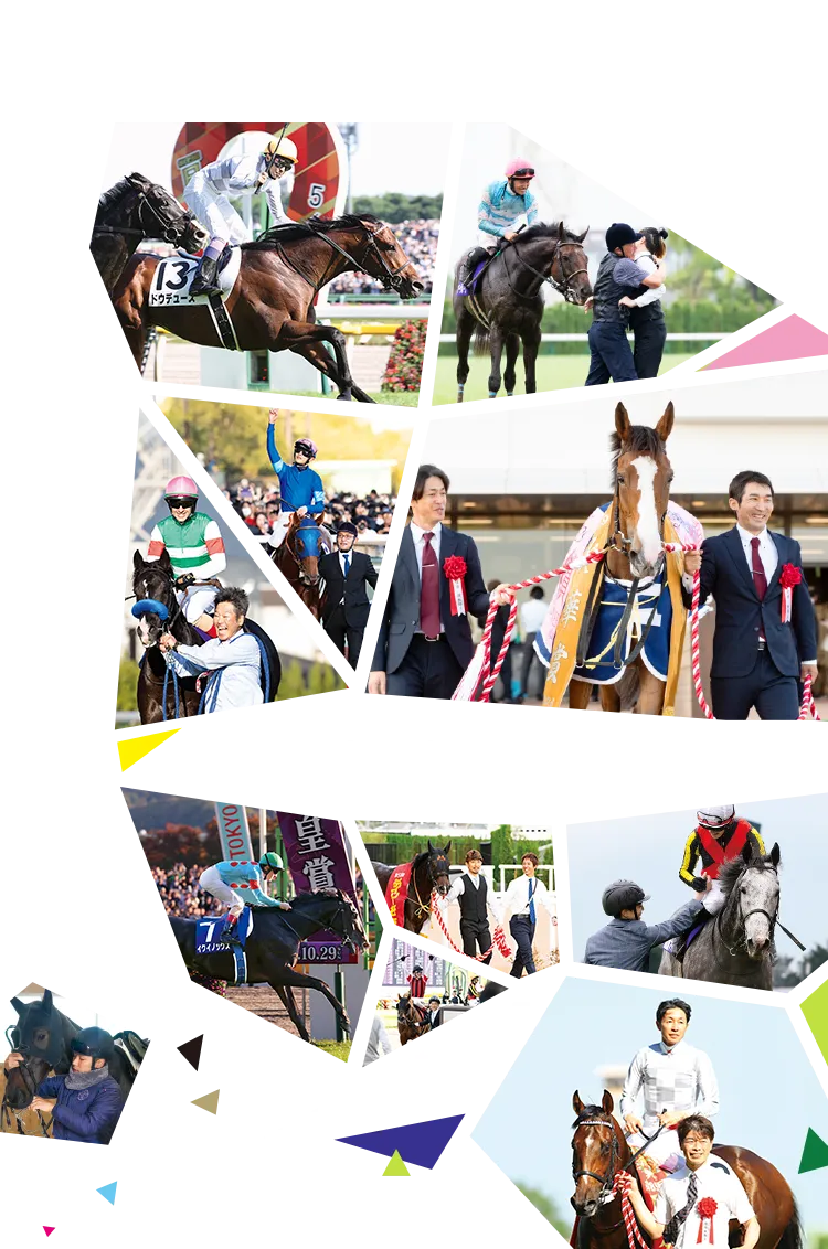 学研 まんがでよくわかるシリーズ218 馬のトレーナーのひみつ 【公式通販】